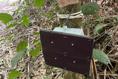 prototype_hair_snare