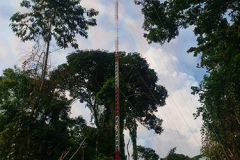 tower2_wcljpg