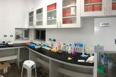 WCL_clean_room