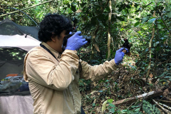 bird_sampling1