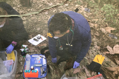 mammal_sampling1