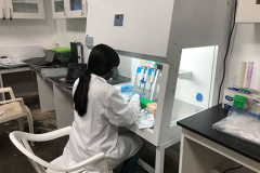 on-site_processsing2