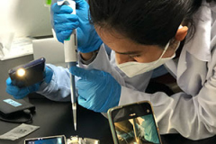 on-site_processsing4