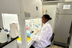 rwca_pcr_cabinet