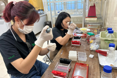 VN_LabTraining12