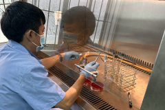 VN_LabTraining7