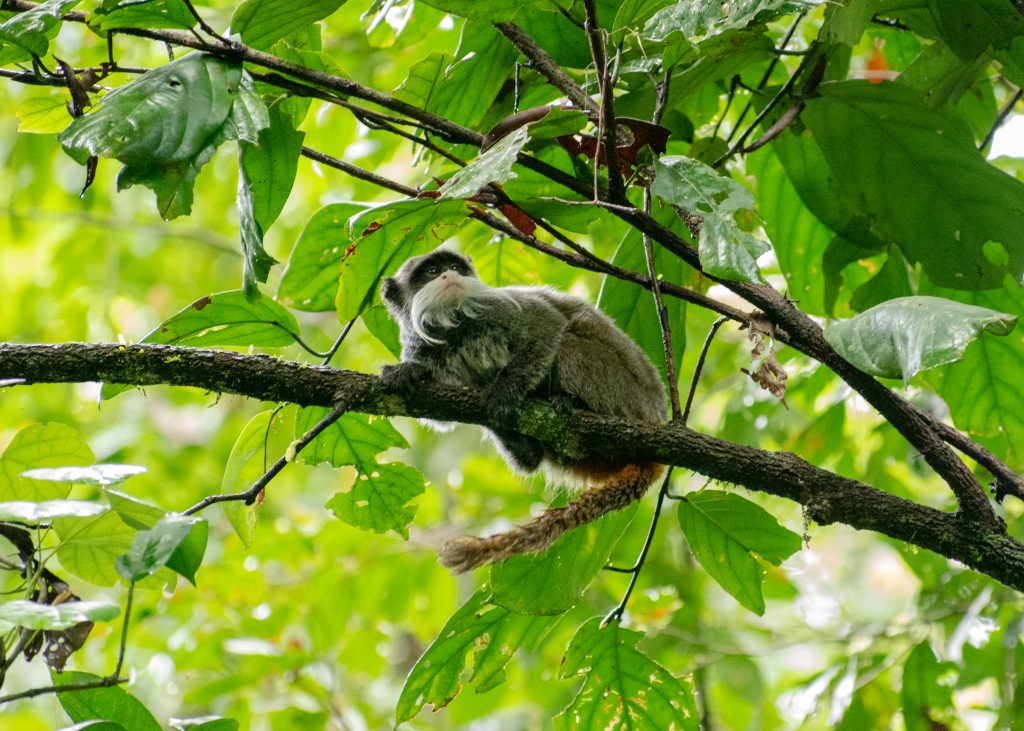 Photo credit: Jorge Mendoza-Silva